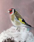 Goldfinch, Acrylic On Canvas, 30x24 Cm